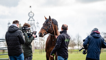This weekend the VDL Stud opens its virtual door to breeders around the world!