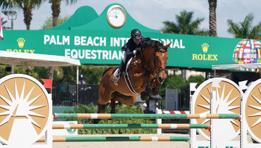 Laura Chapot and Chandon Blue are comeback kids in $37,000 Gold Coast Feed & Nutrition Classic CSI2*