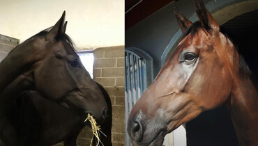 Viktoria Sander: “We went to Valencia with five horses, and returned with three”
