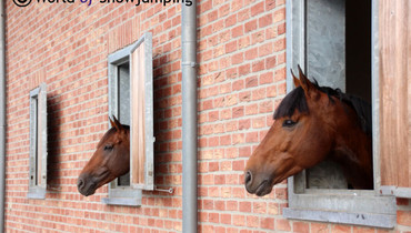 Images | Visiting Jos Lansink - Part two