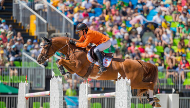1.60m genes dominate 3- and 4-years-old auction of KWPN