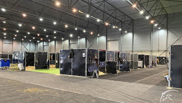 Covid-19... EHV-1... The Dutch Masters makes it work!