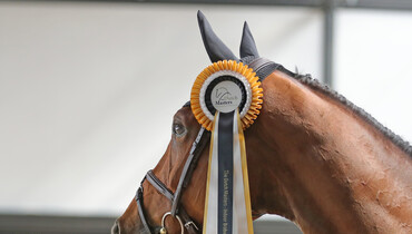 The horses and riders for The Dutch Masters 2022