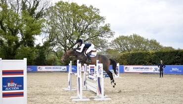 The Billy Stud Spring 4 Year Old Online Auction 27th-29th May