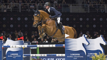 From youngster to international Grand Prix horse: Explosion W
