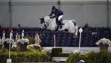From youngster to international Grand Prix horse: Kilkenny