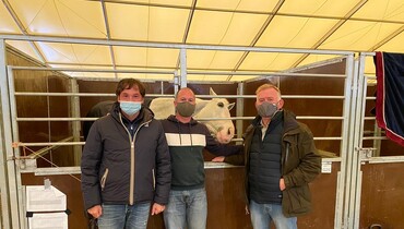 IJRC News: Equine Herpes Virus-update