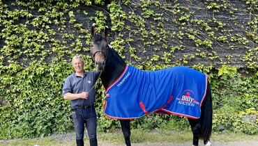 Billy Bentos tops The Billy Stud Spring Online Auction