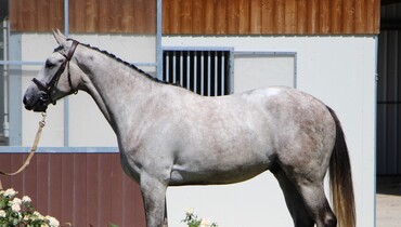 Save the date: Exclusive Riverland Auction - 2nd edition