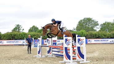The Billy Stud - Set to showcase their most exciting collection of 4 year olds to date!