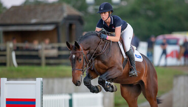 A record breaking evening at The Billy Stud Online Auction!