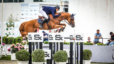 Talma Auction from 3 to 5 July: The best from one of the pillars of Selle Français breeding