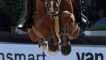 Jumping Performance Rating (JPR): A new method to rank horses and riders