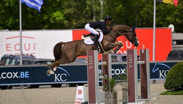 Artemis Farms acquires Eclat du Cerisier for Rodrigo Pessoa