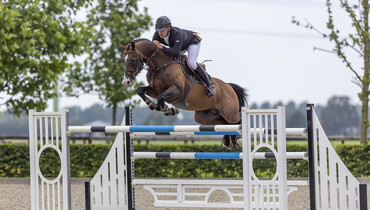 Getting closer to the finals; last chance to bid at Black Horses Auction