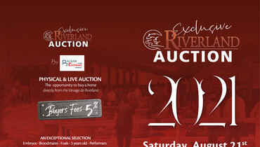 Exclusive Riverland Auction 30 days to go!