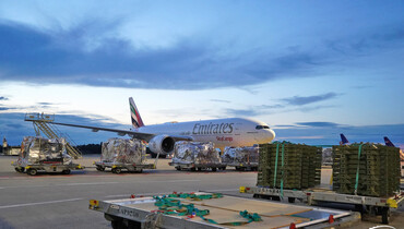 At the gate of the Horse Inn: The jumping horses have departed for Tokyo