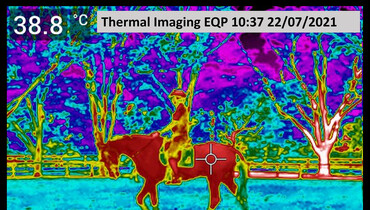 Keeping cool in Tokyo – heat and humidity measures under the microscope