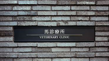 World-class veterinary care on offer for Tokyo 2020 equine athletes