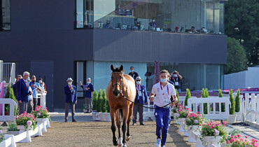 All jumping horses pass Olympic veterinary inspection