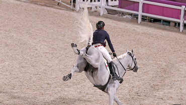 Delight and disappointment… The Olympic team qualifier in images