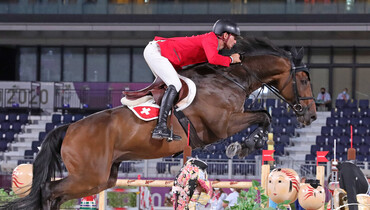 From youngster to international Grand Prix horse: Venard de Cerisy