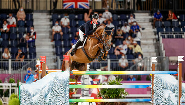 Olympic KWPN auction collection contains nephew of golden Explosion and the next Beauville Z