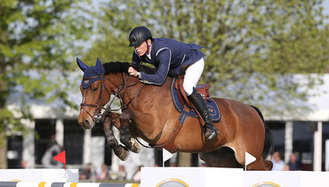 Haras de Hus Embryos Online Auction: Full sister to All In and so much more!