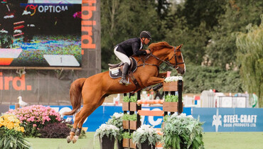King flies to first in $37,000 CSI3* tbird Challenge 1.45m