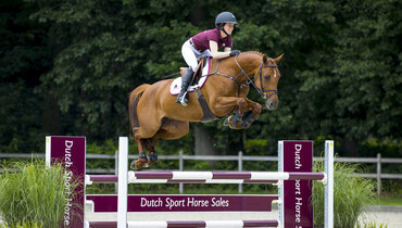 Dutch Sport Horse Sales returns with outstanding collection