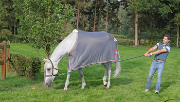 Just chillin' at the Longines FEI European Championships 2021
