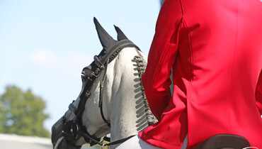 Changes to the FEI Jumping Rules and FEI Veterinary Regulations for 2022
