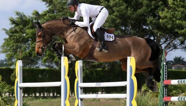 McLain Ward and Best Buy speed to The Ridge at Wellington's $15,000 1.40m Grand Prix victory