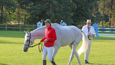 All horses pass second veterinary inspection at the Longines FEI European Championships 2021
