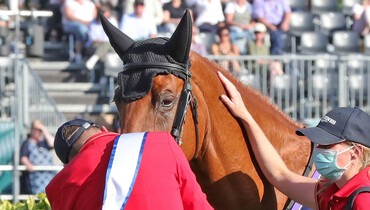 Andre Thieme on the European gold medal: “Nothing compares to this win”