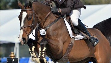 Aaron Vale and Quidam’s Good Luck win Equine Couture/TuffRider Grand Prix at HITS Ocala