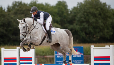 Bidding has begun for The Billy Stud Autumn Online Auction