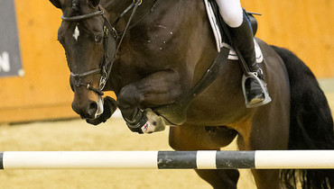 John Whitaker wins the Glock’s Grand Prix qualification