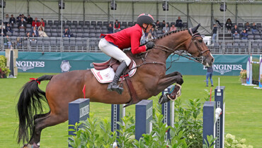 Slovenian show jumper Urh Bauman loses his top horse Larisal in fatal truck accident