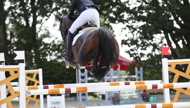 The Hetzel Jumping Championship for Young Horses
