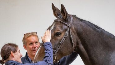 The Billy Stud sign off a successful year of online auctions!