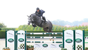 Holger Hetzel Sport Horse Sales presents: Hot Stuff