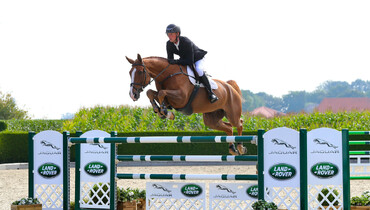 Holger Hetzel Sport Horse Sales presents: Big Plan