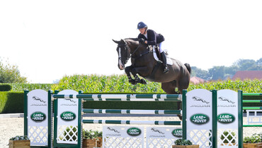 Holger Hetzel Sport Horse Sales presents: Flame