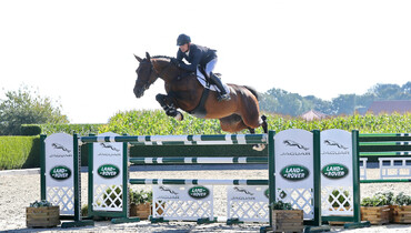Holger Hetzel Sport Horse Sales presents: Herzbeben