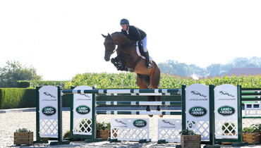 Holger Hetzel Sport Horse Sales presents: Million Dream