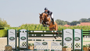 Holger Hetzel Sport Horse Sales presents: Quick Kiss