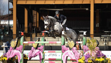 Tanner Korotkin claims double podium with $37,000 Horseware Ireland Welcome Stake CSI3* win