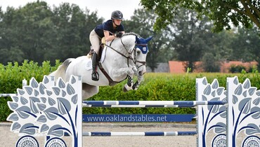 Darragh Kenny about Oakland Stables Auction: 