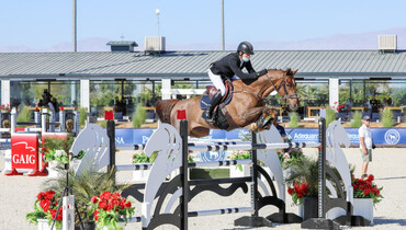 Swift Swail soars to $36,600 Talus 1.45m CSI3* win with Theo 160 at National Sunshine Series I